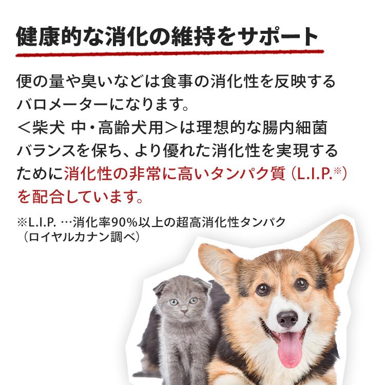 ロイヤルカナン 柴犬 中・高齢犬用 8+ 3kg 犬 フード ロイヤルカナン 柴犬 中・高齢犬用 8+ 3kg 犬 フード