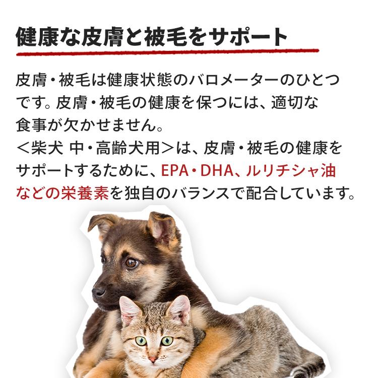 ロイヤルカナン 柴犬 中・高齢犬用 8＋ 3kg 3kg×2袋 犬 フード