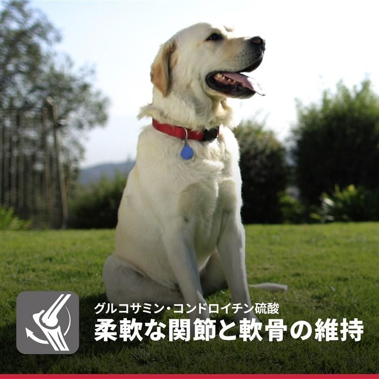 ヒルズ 犬 フード サイエンスダイエット ライト ドッグフード ヒルズ 犬 フード サイエンスダイエット ライト ドッグフード