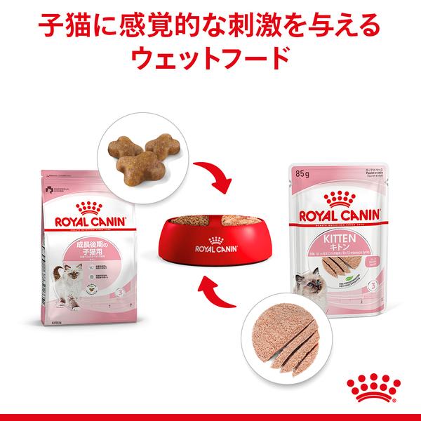 ロイヤルカナン WETキトンローフ 85g 生後12ヵ月齢まで ロイヤルカナン WETキトンローフ 85g 生後12ヵ月齢まで