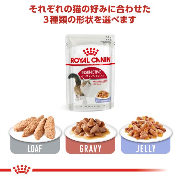 ロイヤルカナン（ROYAL CANIN） 猫 WETインスティンクティブゼリー85g