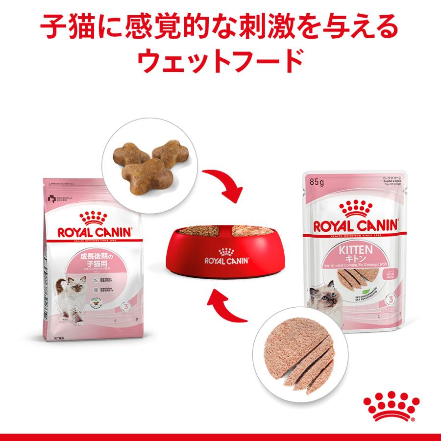 ロイヤルカナン 猫WETキトン85g 3種お試しセット キャットフード ロイヤルカナン 猫WETキトン85g 3種お試しセット キャットフード