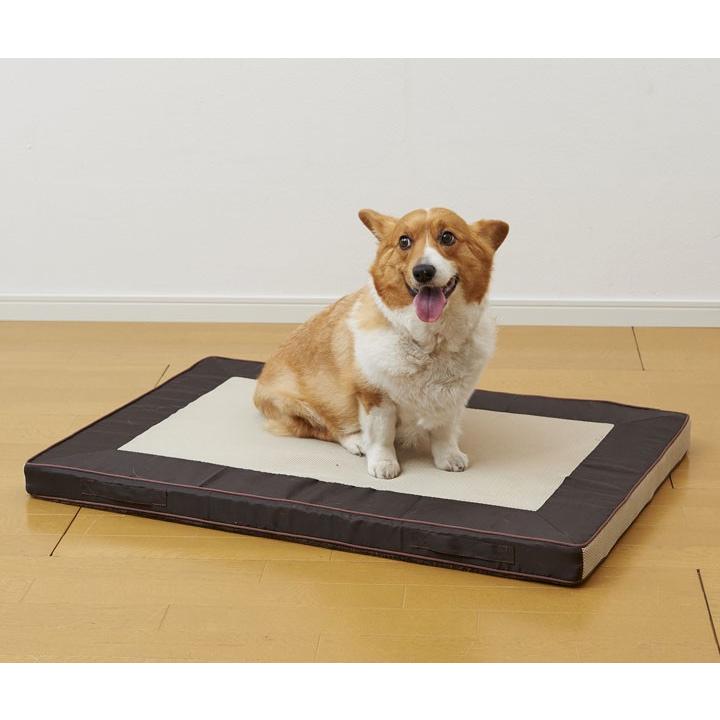 中古　ボンビアルコン　エアブリーズ　ベッド　XL　老犬介護　中・大型犬用　２個セット ペットベッド ベッド 犬 猫 おしゃれ かわいい 犬ベッド 猫ベッド 犬用