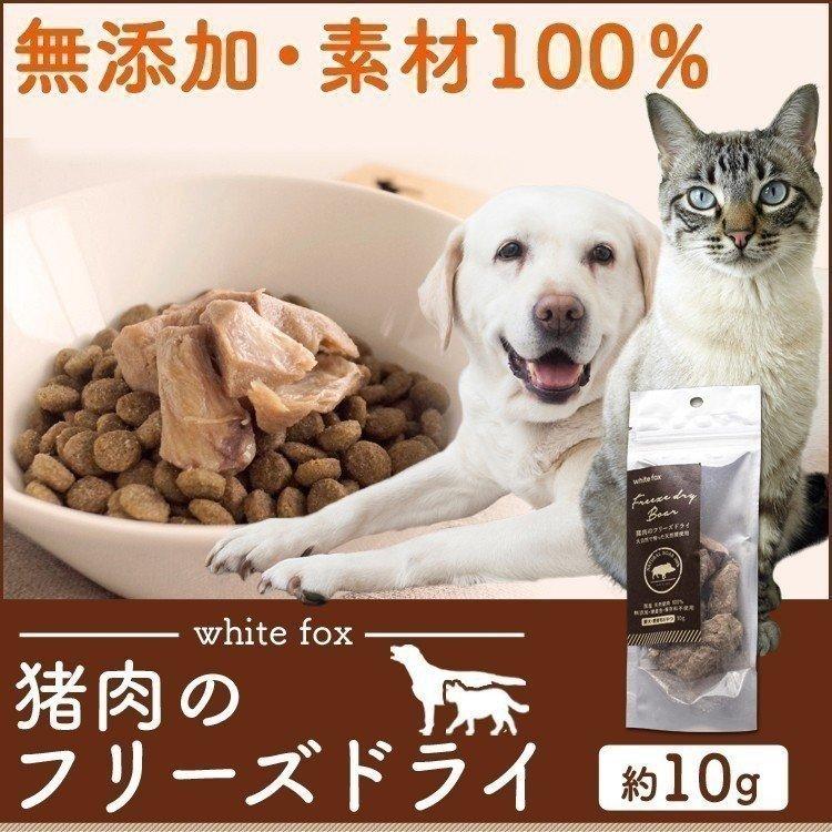 おやつ フード ドライフード 猪肉のフリーズドライ 犬 猫用 10g Whitefox D B わんことにゃんこのおみせ 通販 Yahoo ショッピング