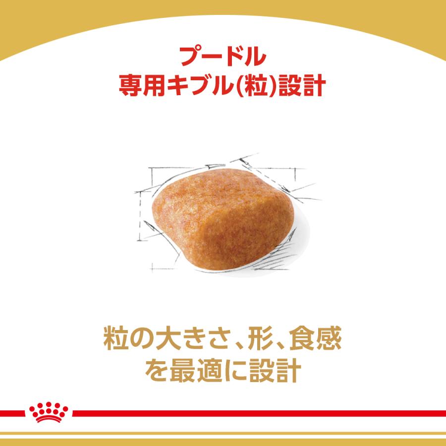 ロイヤルカナン（ROYAL CANIN） プードル 成犬用 3kg 4個セット 犬