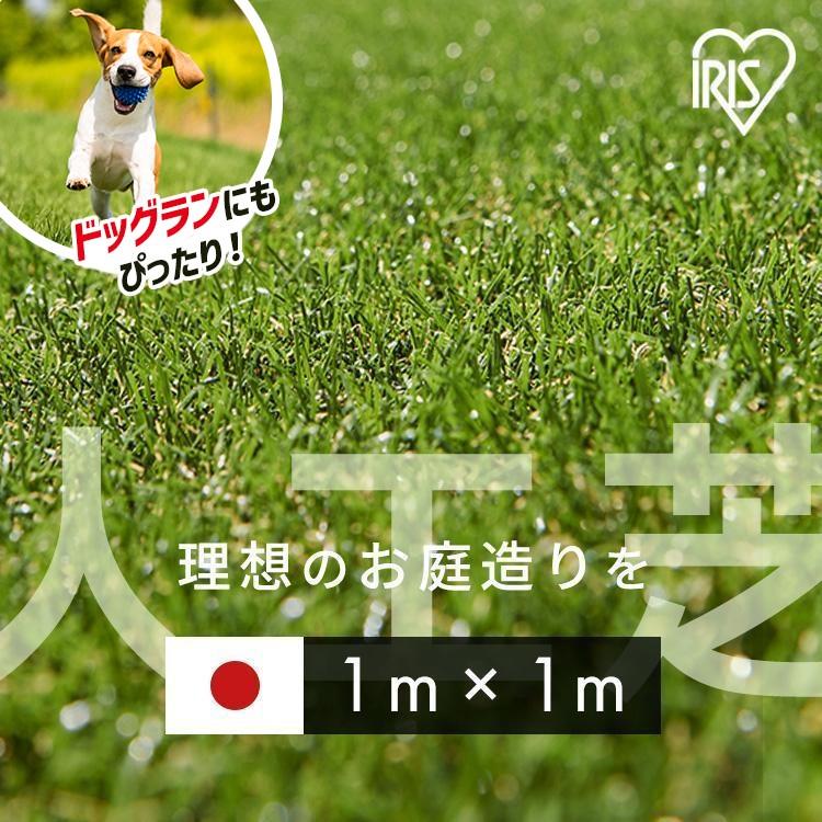 人工芝 幅1m ロール 1m 1m×1m 芝丈30mm ドッグラン リアル人工芝 人工芝生 芝生 人工芝マット 庭 犬 アイリスオーヤマ IP-3011（Yahoo!・Pet館 Yahoo!店）