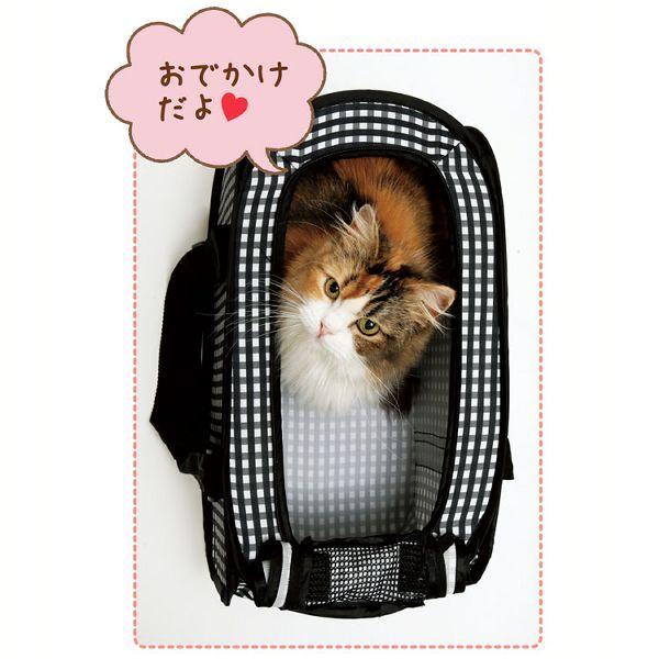ペットカート キャリー カート 猫 ペット用 キャリー ポータブルキャリー 猫壱 (D)|wannyan|05