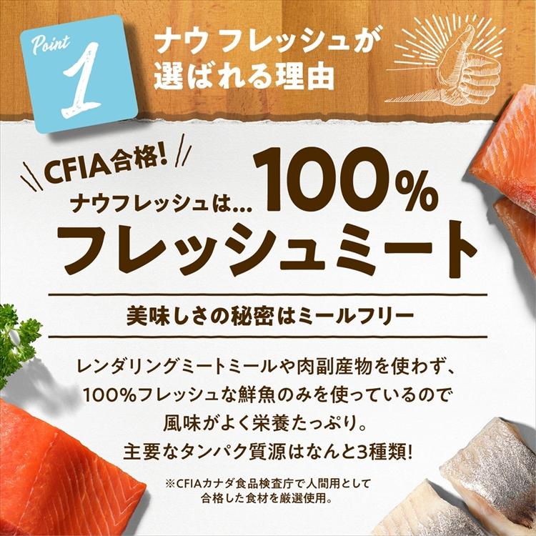NOW FRESH キャットフード ナウフレッシュ フィッシュ アダルト