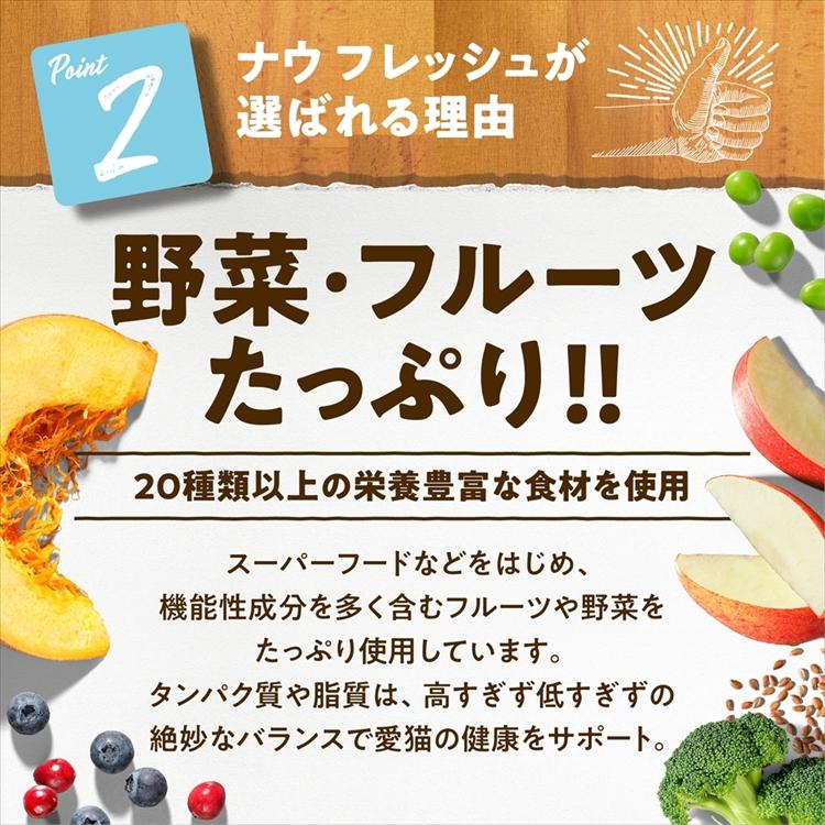 NOW FRESH キャットフード ナウフレッシュ フィッシュ アダルト