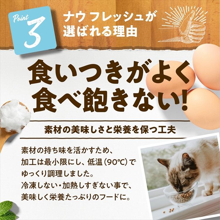 NOW FRESH キャットフード ナウフレッシュ フィッシュ アダルト