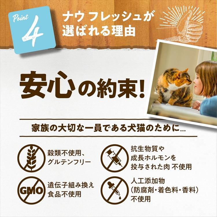 NOW FRESH キャットフード ナウフレッシュ フィッシュ アダルト