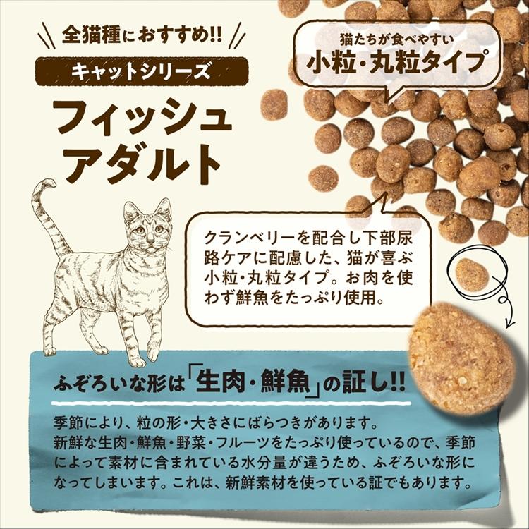 値下げ！猫NOW FRESH グレインフリーキャット　アダルト計２.７２kg NOW FRESH キャットフード ナウフレッシュ フィッシュ アダルト