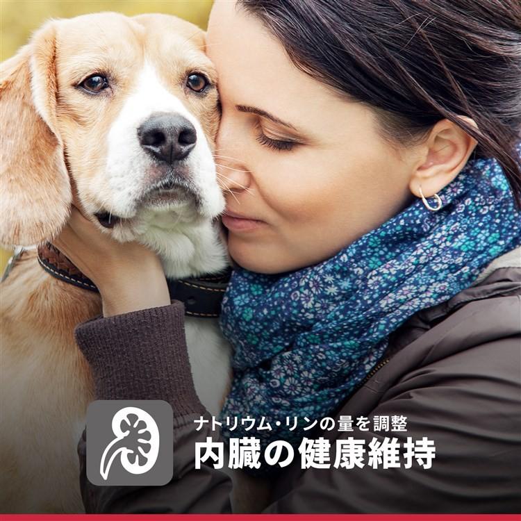 ヒルズ 犬 フード 2個セット サイエンスダイエット シニア