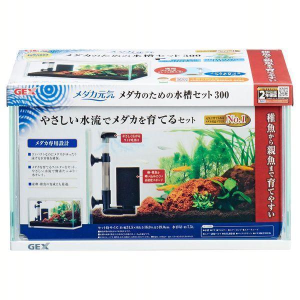 メダカ元気 メダカの水槽セット 300 (D) | GEX