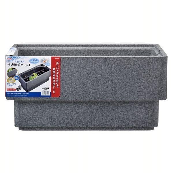 メダカ元気 快適繁殖ケース L ダークグレー (D) | GEX