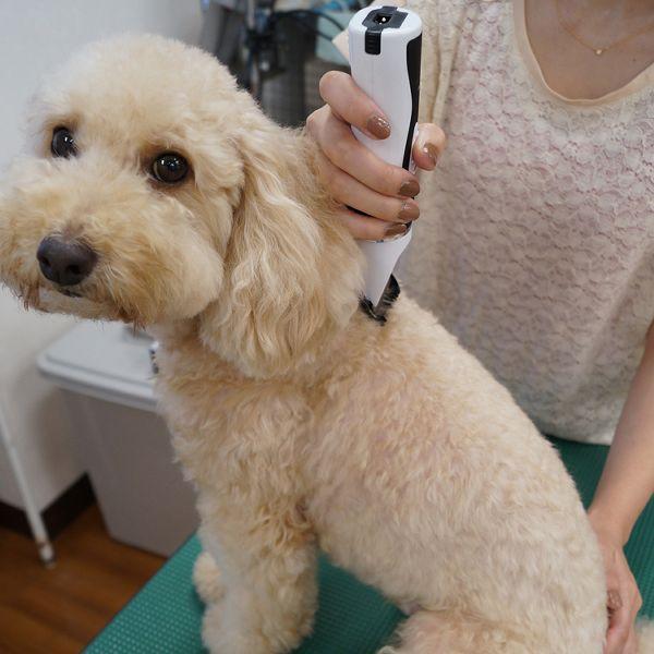 ハーマン ドギーマン ホームバーバー エキスパートスタイル 95120 (D