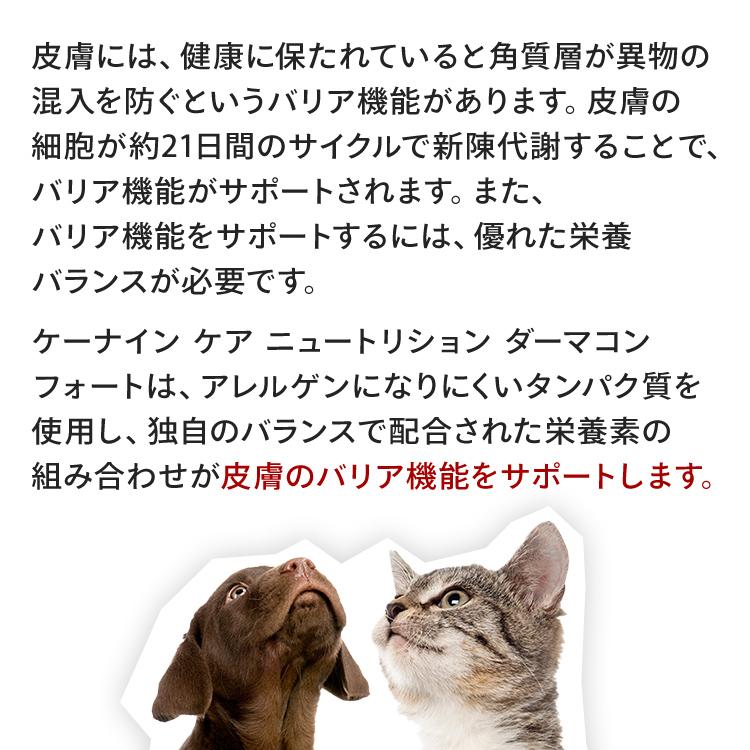 ロイヤルカナン（ROYAL CANIN） 犬 CCN マキシ ダーマコンフォート