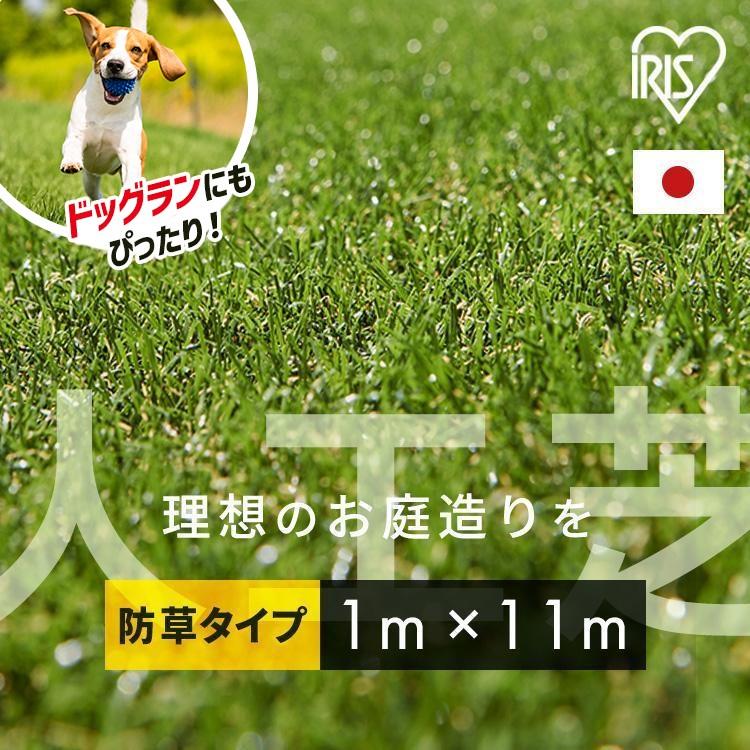 IRIS OHYAMA（アイリスオーヤマ） 人工芝 幅1m ロール 1m×11m 芝丈30mm