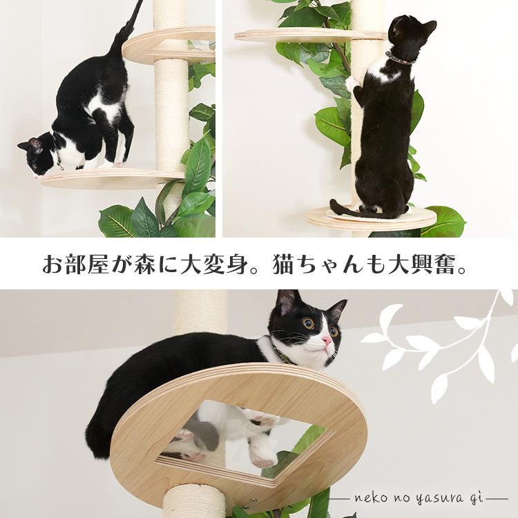 キャットタワー 猫用品 つめとぎ ねこの休ら木 ソラ ナチュラル 58203 