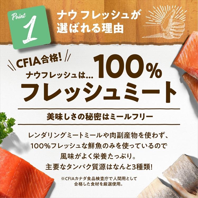 NOW FRESH ドッグフード ナウフレッシュ 犬 グレインフリー スモール
