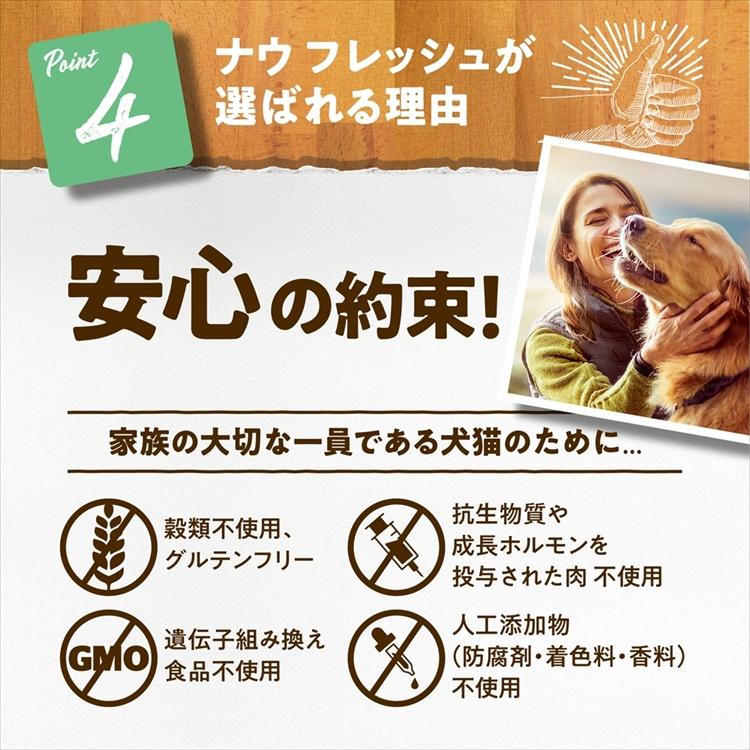 NOW FRESH ドッグフード ナウフレッシュ 犬 グレインフリー スモール