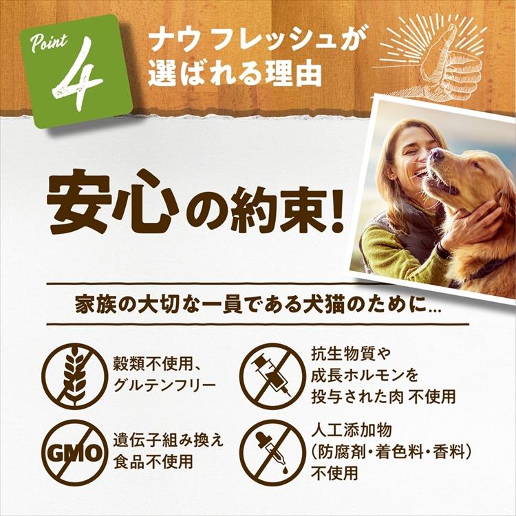 NOW FRESH ドッグフード ナウフレッシュ 犬 グレインフリー スモール