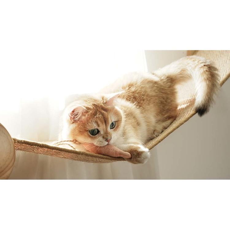 キャットウォーク キャットステップ 猫用品 ペット用品 猫家具 猫