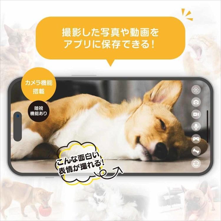 留守中でもペットに餌をあげれる！！ ペットカメラ 留守番 防犯 遠隔操作 充電式 給餌機能 見守りカメラ 自