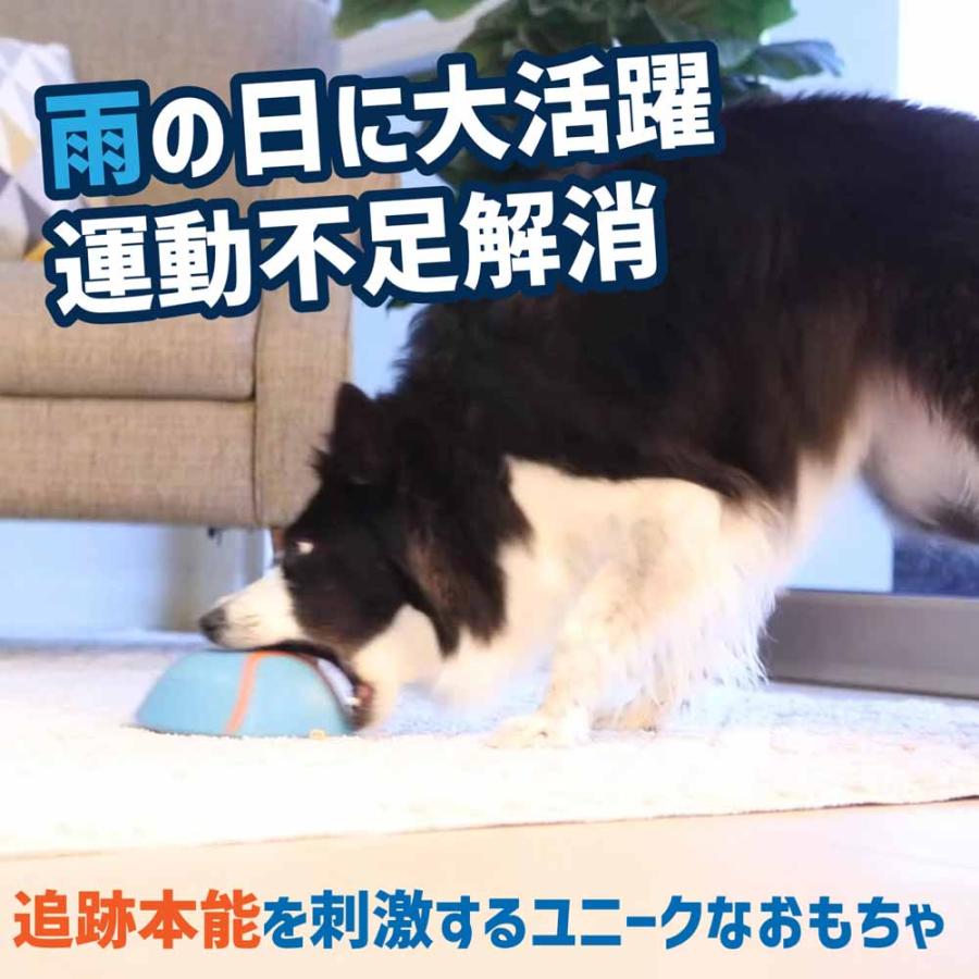 ペット用品 犬用 スライディング 追いかけ遊び 噛むおもちゃ 犬 