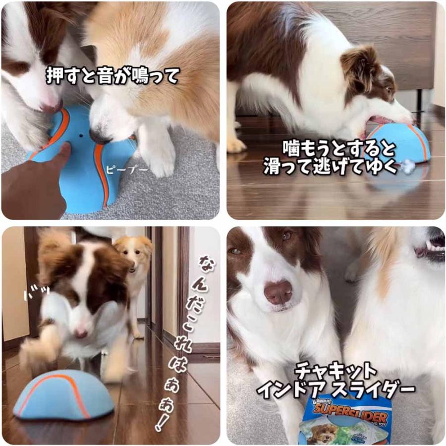 ペット用品 犬用 スライディング 追いかけ遊び 噛むおもちゃ 犬