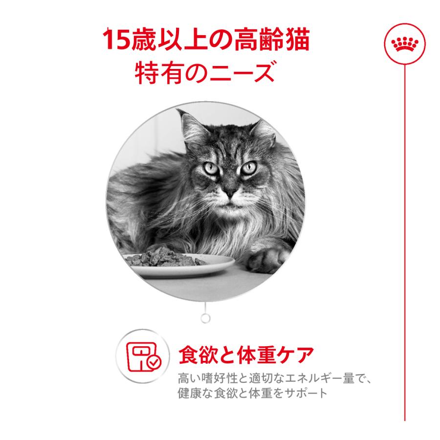 猫４兄弟 ロイヤルカナン ロイヤルカナン（ROYAL CANIN） ＜新商品！＞ 猫 エイジング 15+ 4kg