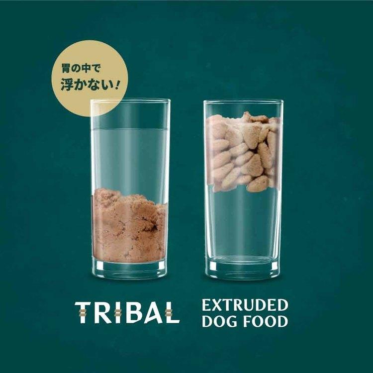 コールドプレス製法 低温調理 ノンオイルコーティング 犬用総合栄養食