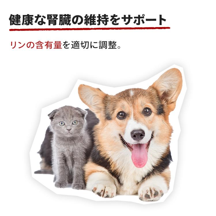 【キャットフード】ロイヤルカナン 3箱分 ロイヤルカナン FHN-WET キトン グレービー（子猫用）｜みんなの