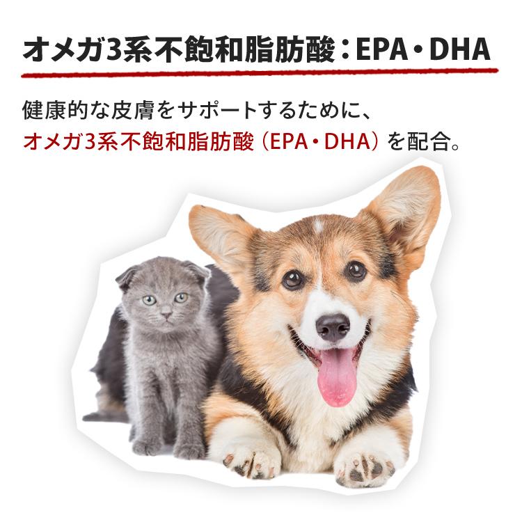 ロイヤルカナン（ROYAL CANIN） 犬 ミディアム アダルト 4kg 4個セット