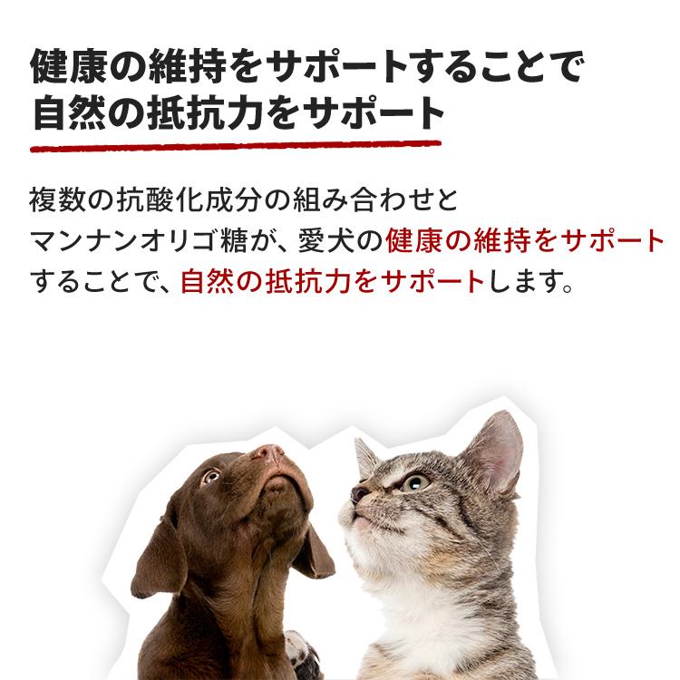 ロイヤルカナン（ROYAL CANIN） 犬 ミディアム アダルト 4kg 4個セット