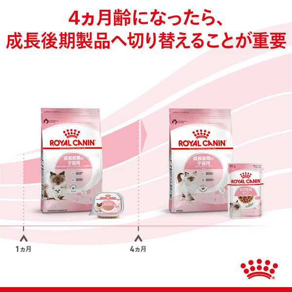 ロイヤルカナン（ROYAL CANIN） 猫 ベビー34 2kg 猫用 6個セット