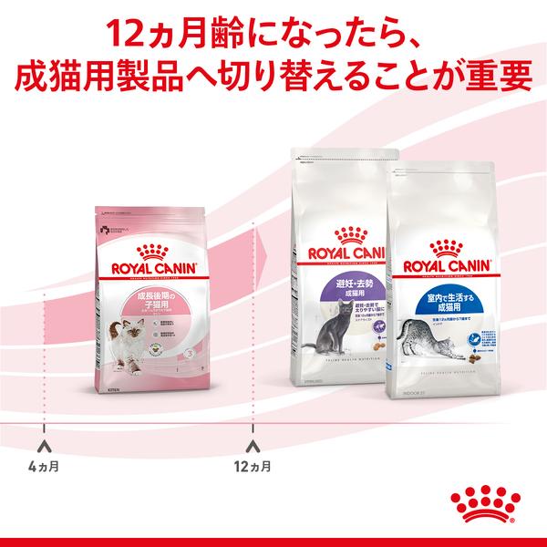 ロイヤルカナン（ROYAL CANIN） 猫 キトン 2kg 6個セット 生後12ヵ月齢
