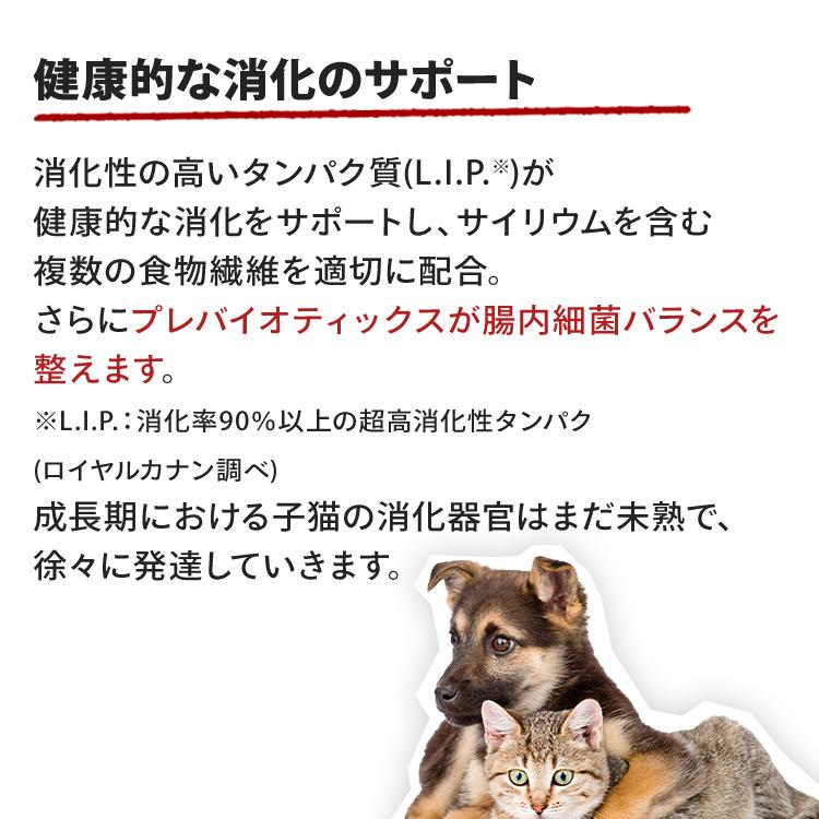 ロイヤルカナン 猫 キトン ペルシャ 2kg 6個セットキャットフード 猫用 正規品 子猫用 ドライフード 生後12ヵ月齢まで_10