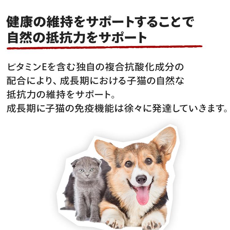 ロイヤルカナン 猫 キトン ペルシャ 2kg 6個セットキャットフード 猫用 正規品 子猫用 ドライフード 生後12ヵ月齢まで_11