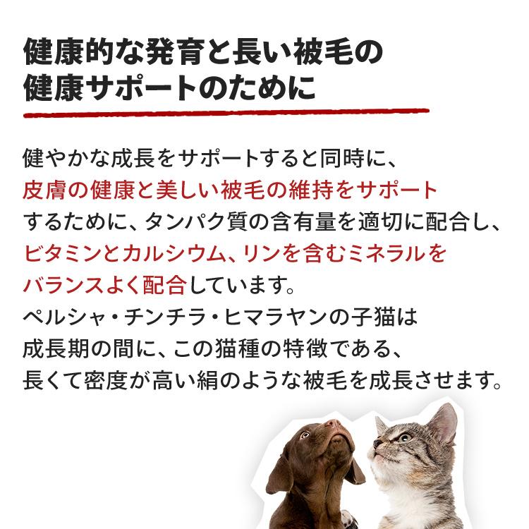 ロイヤルカナン 猫 キトン ペルシャ 2kg 6個セットキャットフード 猫用 正規品 子猫用 ドライフード 生後12ヵ月齢まで_9