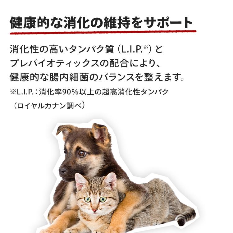 ロイヤルカナン（ROYAL CANIN） 猫 シャム 2kg 6個セット