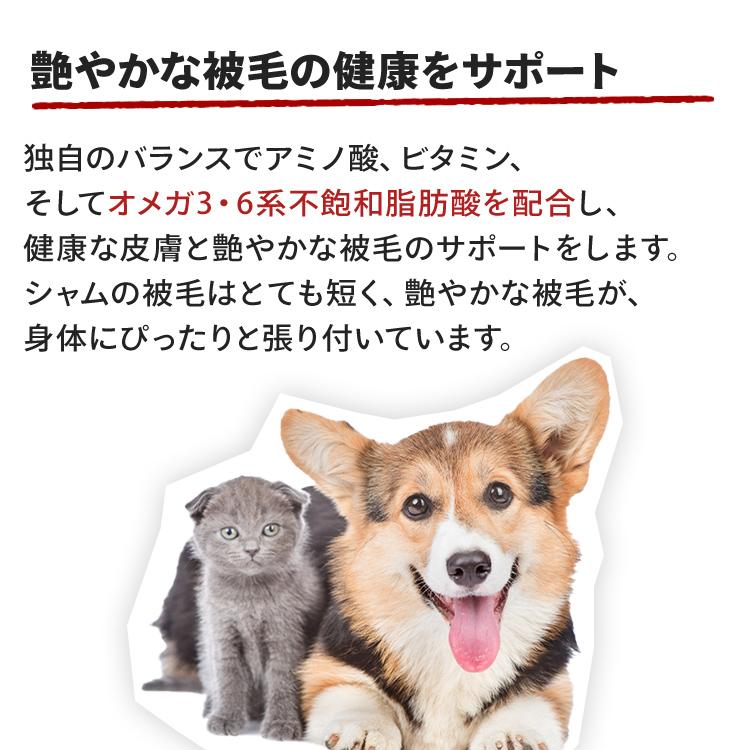 ロイヤルカナン（ROYAL CANIN） 猫 シャム 2kg 6個セット