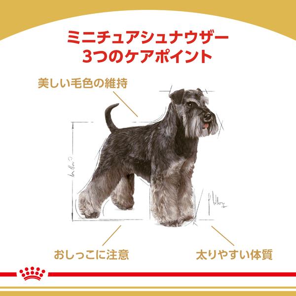 ロイヤルカナン（ROYAL CANIN） 犬 ミニチュアシュナウザー 成犬・高齢
