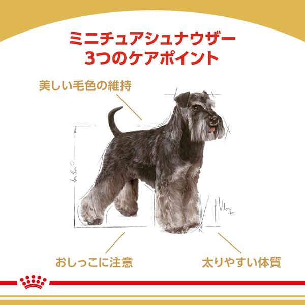 ロイヤルカナン 犬 ミニチュアシュナウザー 成犬・高齢犬 3kg 4個セットドッグフード フード 犬用 犬｜wannyan｜02