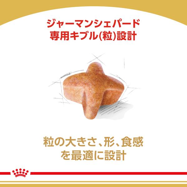 ロイヤルカナン（ROYAL CANIN） 犬 ジャーマンシェパード 成犬・高齢犬