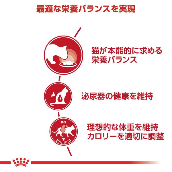 ロイヤルカナン（ROYAL CANIN） 猫用 FHN-WET インスティンクティブ