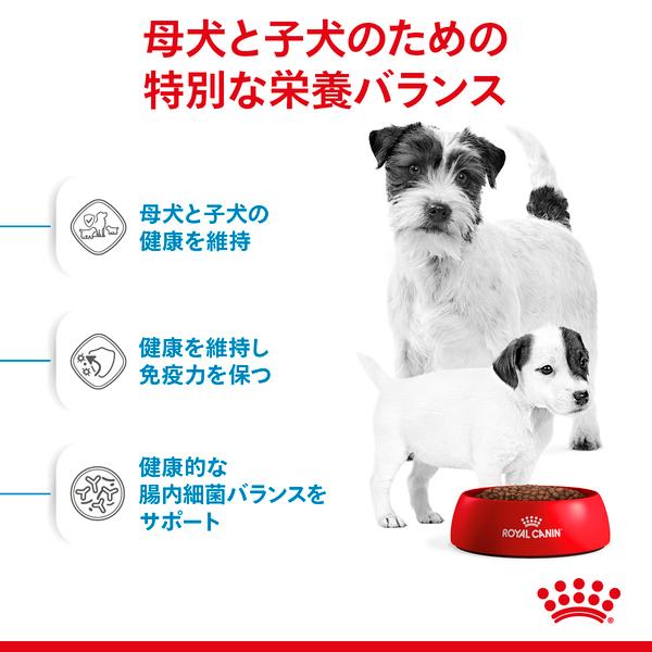 ロイヤルカナン（ROYAL CANIN） 犬 ミニ スターターマザー&ベビー