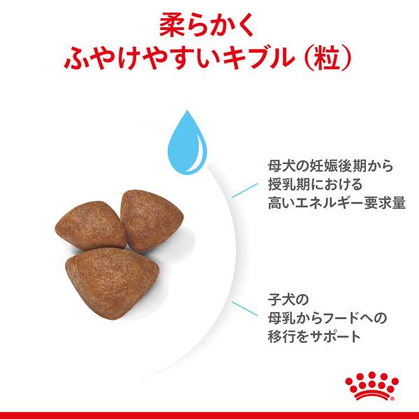 ロイヤルカナン（ROYAL CANIN） 犬 ミニ スターターマザー&ベビー