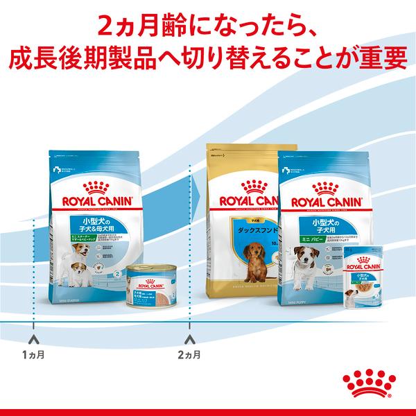 ロイヤルカナン（ROYAL CANIN） 犬 ミニ スターターマザーベビードッグ