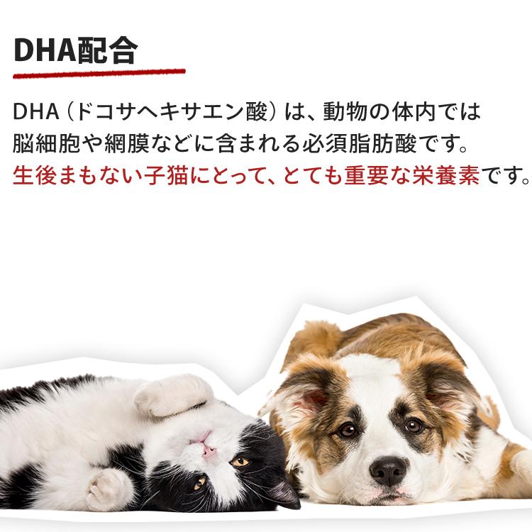 ロイヤルカナン（ROYAL CANIN） 猫 ベビーキャットミルク300g 6個